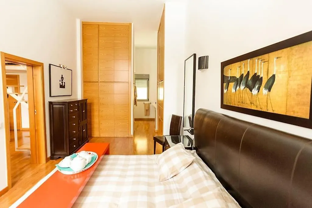 Centrico Loft En El Centro De Santa Cruz Apartment